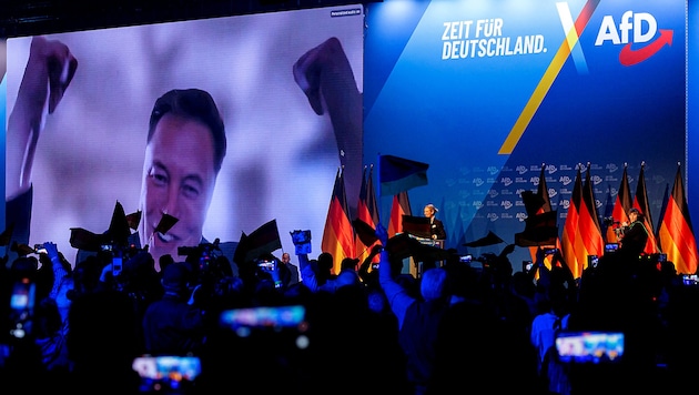 Elon Musk joined the AfD's election campaign kick-off via video conference. (Bild: APA/AFP)