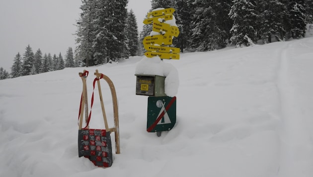 We have reached our destination. Now it's time to unpack the snacks and later toboggan down into the valley. (Bild: Peter Freiberger)