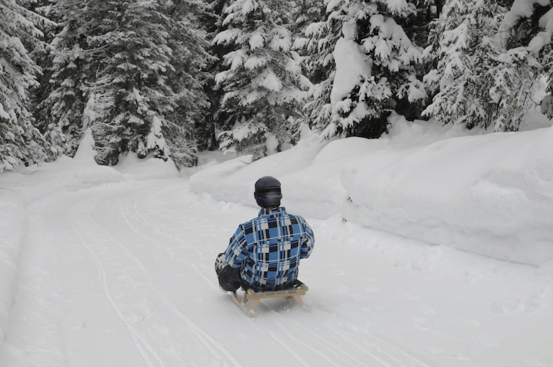 The toboggan run does not have an excessive gradient anywhere. (Bild: Peter Freiberger)