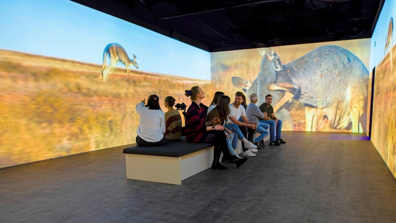 Im Erlebnismuseum Immersium geht es tierisch wild zu. (Bild: SIMON CASETTI)