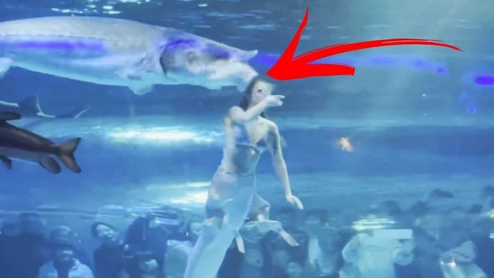 The fish took the Russian woman's entire head into its mouth.