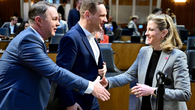 So much has already been agreed in the various coalition negotiations - in terms of state responsibility, this must now be upheld. (Bild: APA/ROLAND SCHLAGER)