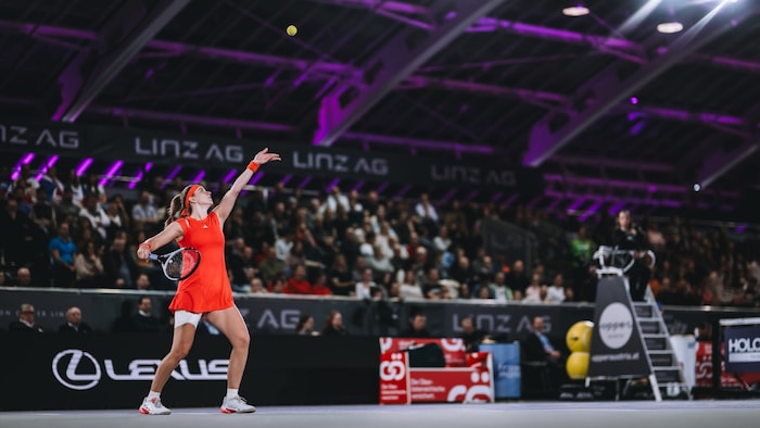 Karolina Muchova is Peter-Michael Reichel's favorite to win the tournament.