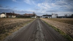 Fotos dieses Feldwegs gingen um die Welt, er war Schauplatz einer der schlimmsten Tragödien in Oberösterreich. Inzwischen ist es in Sebern in Naarn wieder ruhig geworden. (Bild: Wenzel Markus)