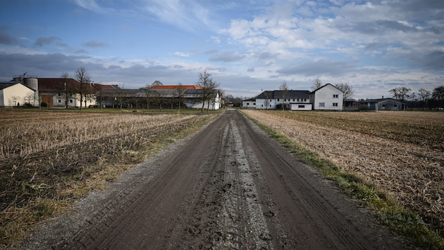 Photos of this field path went around the world; it was the scene of one of the worst tragedies in Upper Austria. Things have since calmed down again in Sebern in Naarn, (Bild: Wenzel Markus/Markus Wenzel)