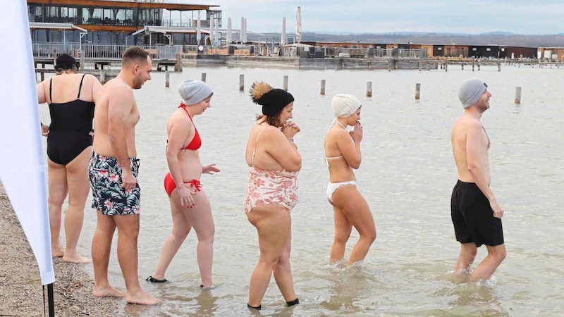 90 participants took the plunge into the ice-cold water. (Bild: Reinhard Judt)