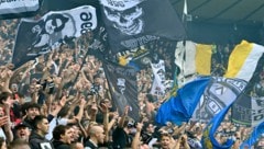 Die Fans des Fußballclubs Udinese Calcio pflegen freundschaftliche Kontakte nach Salzburg (Bild: APA/AFP/ANDREA PATTARO)