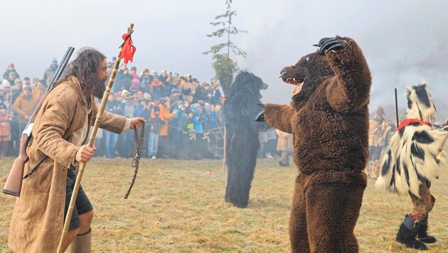 Catching bears is part of the Telfer Schleicherlaufen (Bild: Johanna Birbaumer)