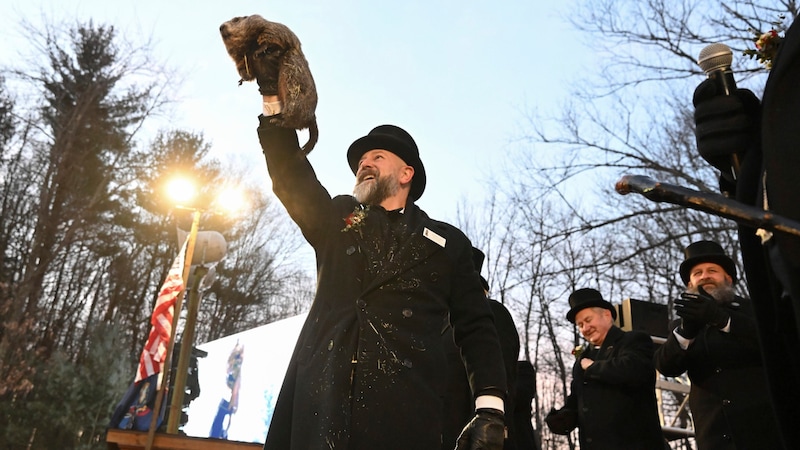 Der Betreuer A.J. Dereume vom „Groundhog Club“ präsentiert stolz den kleinen Phil. (Bild: ASSOCIATED PRESS)