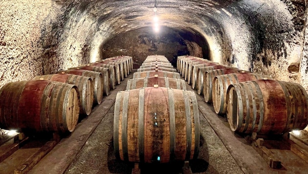 More and more organic wines are maturing in the Gumpoldskirchner wine cellars. (Bild: Grammer Karl)