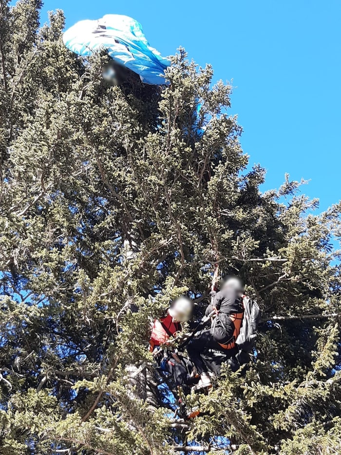 Auf dünnen Ästen hing der Paragleiter.