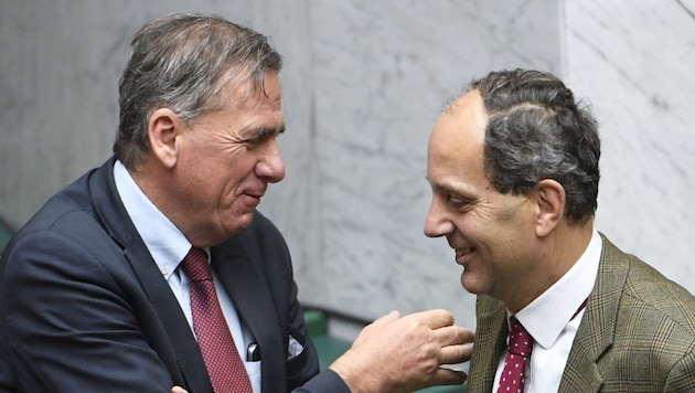 From the left: ÖVP MP Erwin Rasinger and FPÖ MP Johannes Hübner (archive photo) (Bild: Robert Jäger)