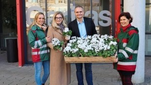 Nachhaltig und liebenswürdig: Diese Blumen haben noch nicht ausgedient ... 