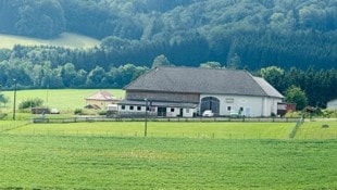 Auf diesem Hof in Aurach am Hongar in Oberösterreich kam es zu dem Tierdrama. (Bild: Matthias Lauber/laumat.at)