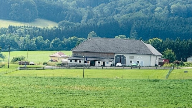 Auf diesem Hof in Aurach am Hongar in Oberösterreich kam es zu dem Tierdrama. (Bild: Matthias Lauber/laumat.at)