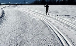 Nicht immer sind auf Loipen nur Langläufer unterwegs (Symbolbild).