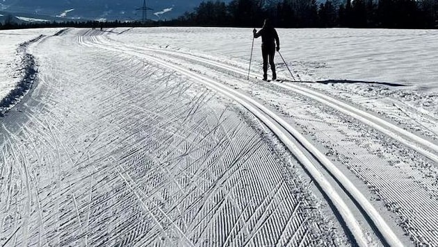 Cross-country skiers are not always the only ones on the trails (symbolic image). (Bild: Rauth Hubert)