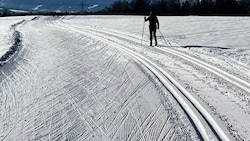 Nicht immer sind auf Loipen nur Langläufer unterwegs (Symbolbild). (Bild: Rauth Hubert)