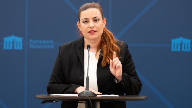 Nina Tomaselli wiederholte am Dienstag ihre Kritik, dass der Großteil von Benkos Geschäften legal passiert sei. Die Grünen sehen den Gesetzgeber am Zug.  (Bild: APA-PictureDesk/GEORG HOCHMUTH / APA / picturedesk.com)