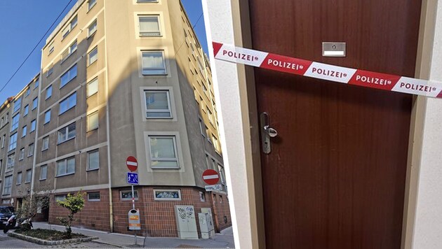 Crime scene Dißlergasse: Another building from the 60s or 70s was hit. (Bild: Krone KREATIV/Stefan Steinkogler / Privat)