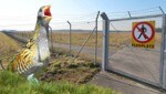 Der Wachtelkönig wäre mit dem Bau der PV-Anlage am Grazer Flughafen-Areal in Gefahr.  (Bild: Krone KREATIV/Christian Jauschowetz, Norbert Pühringer)