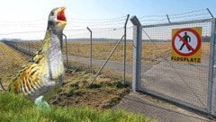 Der Wachtelkönig wäre mit dem Bau der PV-Anlage am Grazer Flughafen-Areal in Gefahr.  (Bild: Krone KREATIV/Christian Jauschowetz, Norbert Pühringer)