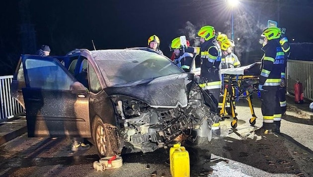 Die Freiwillige Feuerwehr Bad Waltersdorf war vor Ort. (Bild: FF Bad Waltersdorf)