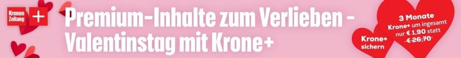 (Bild: Krone KREATIV)