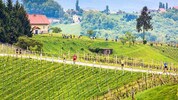 Der Welschlauf führt auf einer fast kitschig schönen Strecke durch die Südsteiermark – droht ...