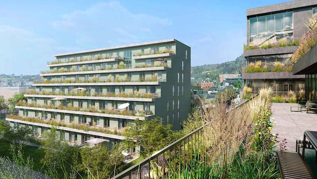 50 new apartments, planned by the architectural firm Schwarzenbacher-Struber, are being built on Canavalstrasse in Salzburg-Schallmoos. (Bild: Schwarzenbacher Struber Architekten)