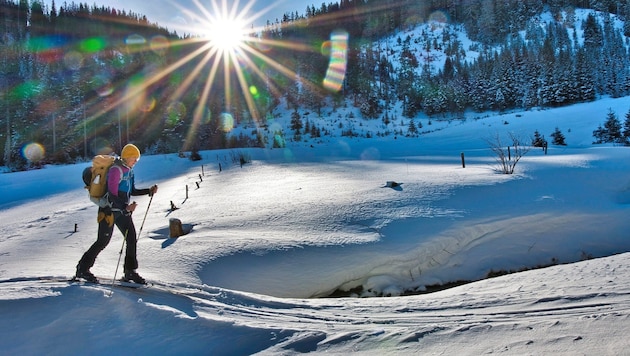 Ten years ago, a ski tour guidance project was set up in the Triebental valley to offer people recreational fun and the necessary protection for wild animals. (Bild: Weges)