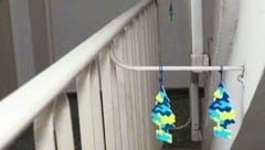 Nachbarn in der Wohnhausanlage hängen Wunderbäume wegen des penetranten Geruchs auf.