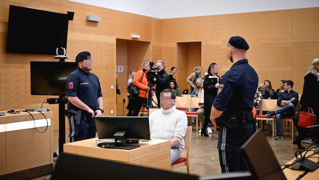 The trial attracted a great deal of media interest (Bild: Wenzel Markus/Markus Wenzel, Krone KREATIV)