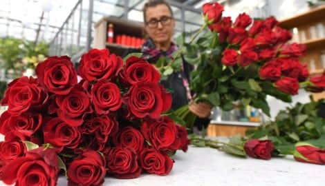 Wer schenkt, gibt dabei 50 bis 70 aus. Dabei zeigen sich die Wiener besonders großzügig, im Burgenland und in Niederösterreich zeigt man sich weniger spendabel. (Bild: APA-PictureDesk/HELMUT FOHRINGER / APA / picturedesk.com)