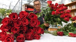 The person who gives is 50 to 70. The Viennese are particularly generous, in Burgenland and in Lower Austria there are less generation. (Image: APA-Pictureesk / Helmut Fohringer / APA / Pictureesk.com) The person who gives is 50 to 70. The Viennese are particularly generous, in Burgenland and in Lower Austria there are less generation. (Image: APA-Pictureesk / Helmut Fohringer / APA / Pictureesk.com)