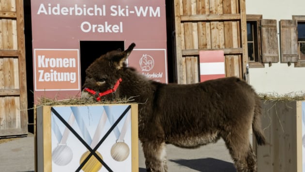 No medal! If oracle "Sunny" has his way, the ÖSV men will come away empty-handed in today's super-G. (Bild: Markus Tschepp)