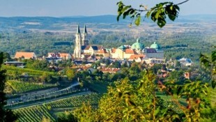 Der Weinanbau hat in Klosterneuburg jahrhundertelange Tradition.