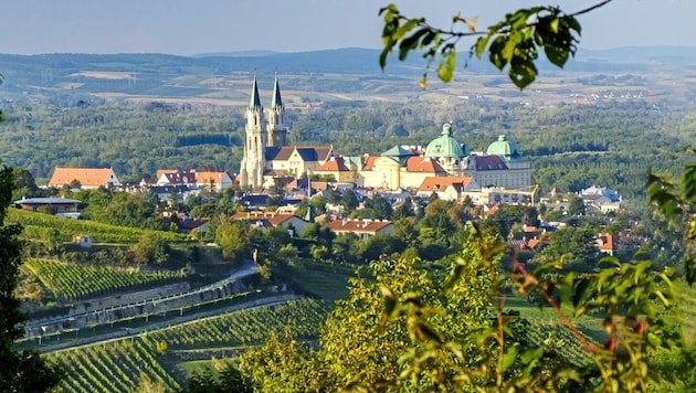 Der Weinanbau hat in Klosterneuburg jahrhundertelange Tradition. (Bild: Stadt Klosterneuburg)