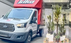 Der Transporter wird ebenso versteigert wie diese Glasvitrine mit Pflanzen, die zur Dekoration ...