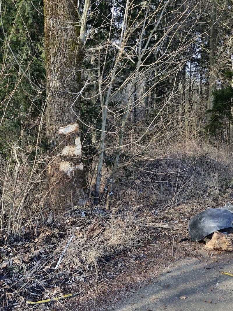 Die Spuren des Aufpralls an einem Baum (Bild: FF Semriach)