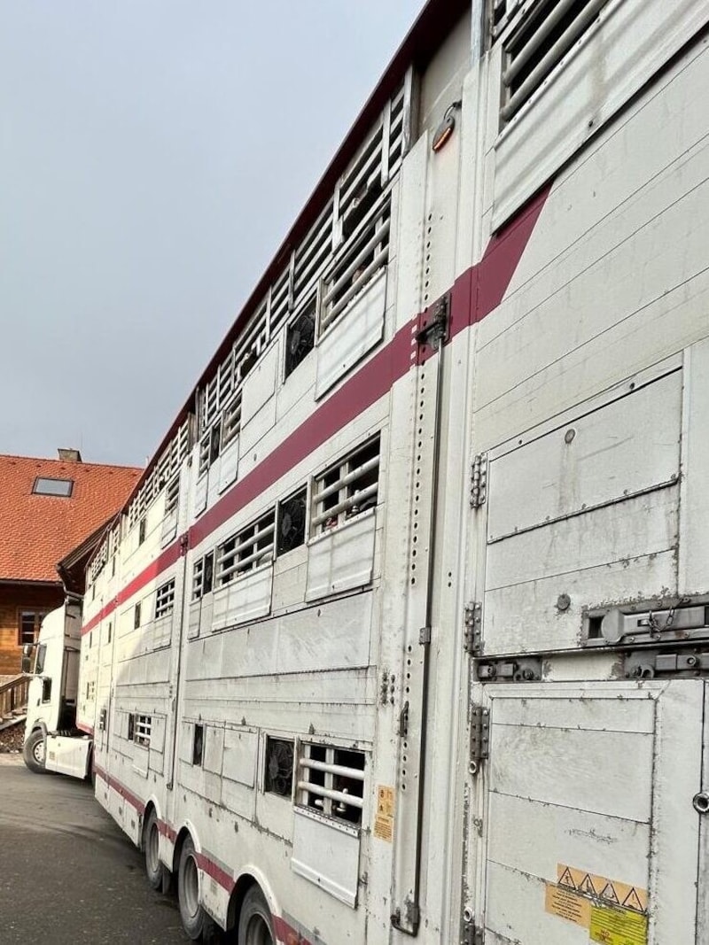 The semi-trailer is actually designed for pigs (!), the adaptation for calves was inadequate. The animals could not drink from it, apart from the fact that the system was also broken and rusty. (Bild: LPD Stmk/LVA)