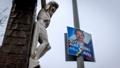 Ganz klassisch und möglichst „kanzlerlike“ gibt sich die AfD im Wahlkampf in Deutschland (hier im Bild) – die von einem Österreicher spendierten Plakate fallen dabei aber aus der Reihe. (Bild: Michael Probst)