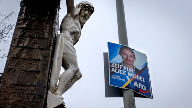 The AfD's election campaign in Germany is very classic and as "chancellor-like" as possible (pictured here) - but the posters donated by an Austrian stand out from the crowd. (Bild: AP/Michael Probst)