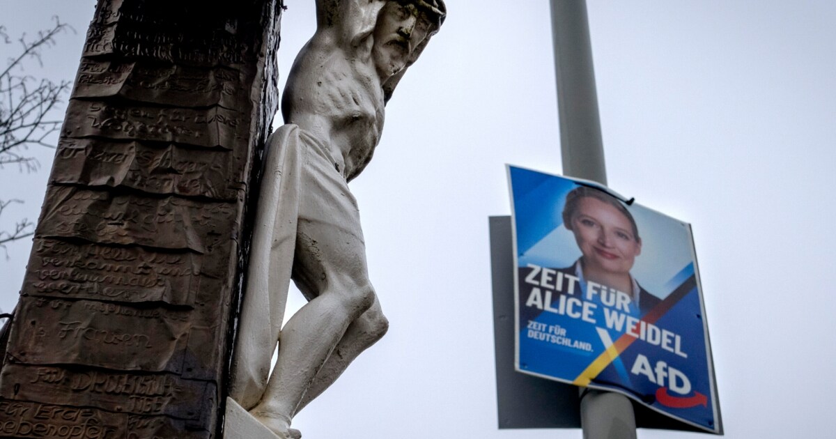 Hat sich das gelohnt? - Plakate von AfD-Großspender aus FPÖ sind im ...