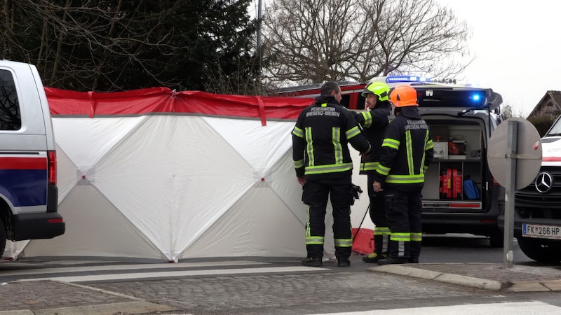 Die Rettungsmaßnahmen waren am Ende leider vergebens. (Bild: Maurice Shourot)