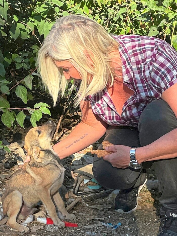 The "Krone" was on site with editor Christa Blümel