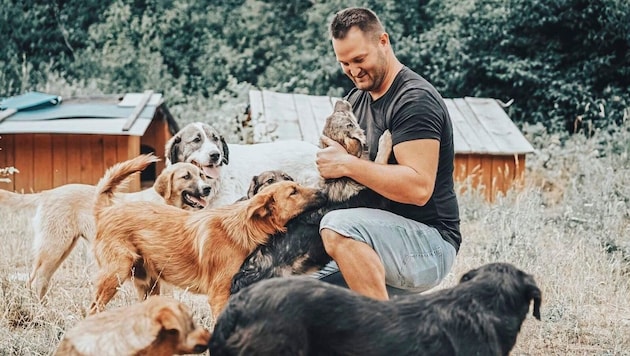 Michael Midzan mit einigen der Hunde vor Ort in Bihac (Bild: Michael Midzan)