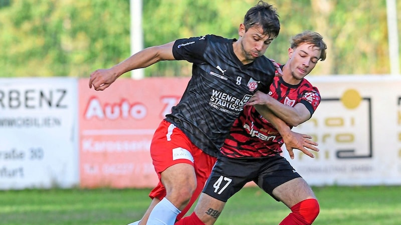 Mihret Topcagic (Bild: Sobe Hermann)