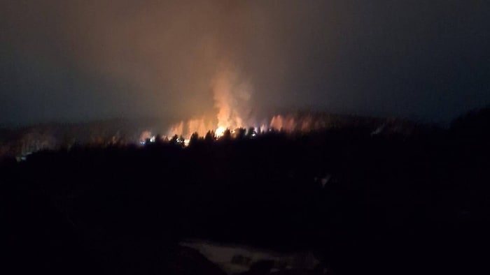The affected building is surrounded by forest.