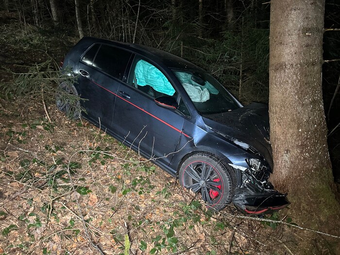 Der Wagen wurde schwer beschädigt.